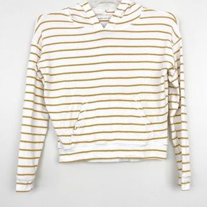 AMERICAN EAGLE STRIPED HOODIE